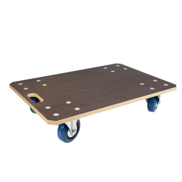 Rollbrett Expert Seite