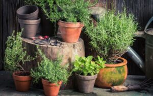 Rollbrett für Ihren Kräutergarten